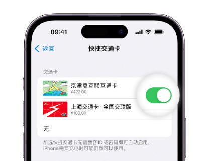 大姚apple维修点分享iPhone上更换Apple Pay快捷交通卡手绘卡面 