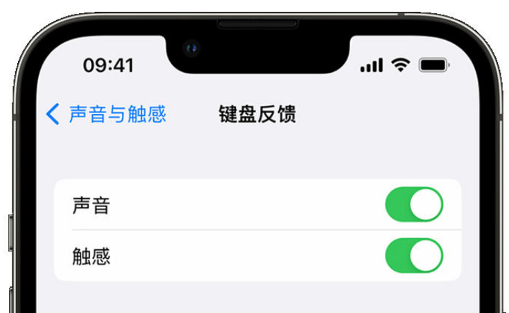 大姚苹果手机维修分享iPhone 14触感键盘使用方法 