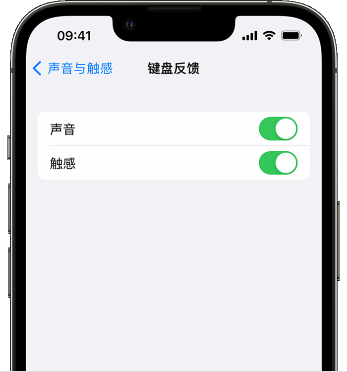 大姚苹果14维修店分享如何在 iPhone 14 机型中使用触感键盘 