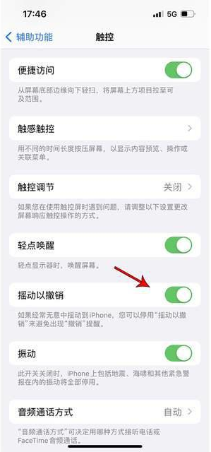 大姚苹果手机维修分享iPhone手机如何设置摇一摇删除文字 